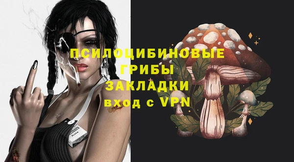 соль ск Касимов